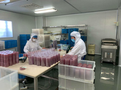 送政策、送口罩、幫復工 政府幫助虹口這家企業(yè)3天研制出病毒采樣管