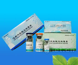 注射用鹽酸克林霉素全面解析 從功效、代理到市場(chǎng)準(zhǔn)入信息